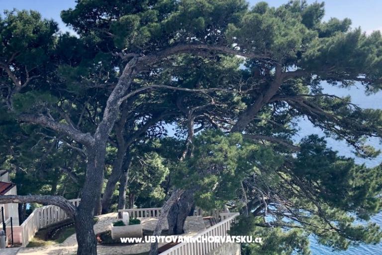 Apartmani  Ines – foto 7