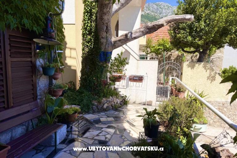 Apartmani Andja – foto 7
