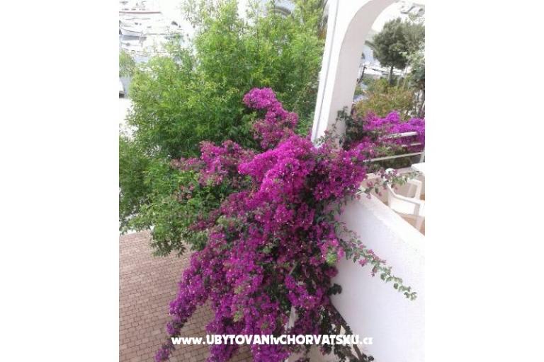Apartmani Lile – foto 6