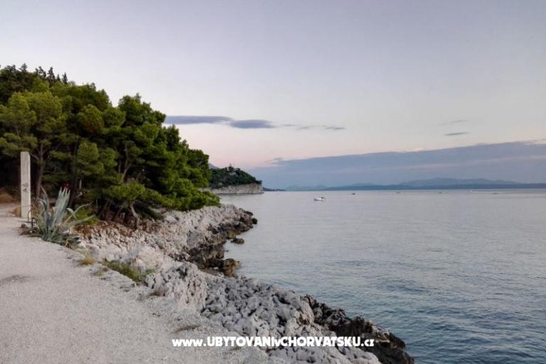 Apartmani Ribica 1 – foto 10