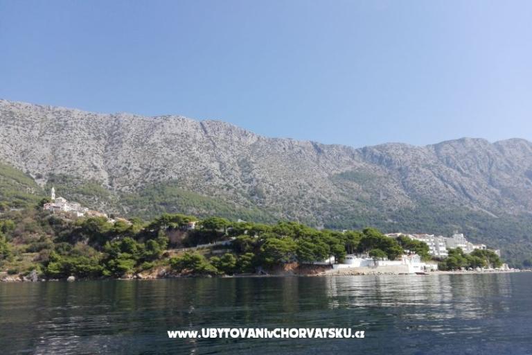 Apartmani Ribica 1 – foto 9