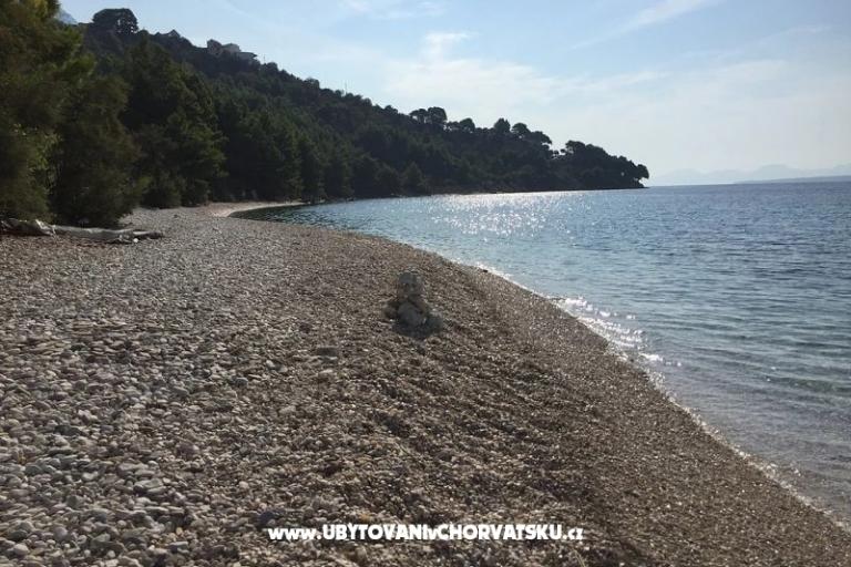 Villa Maslina – foto 8