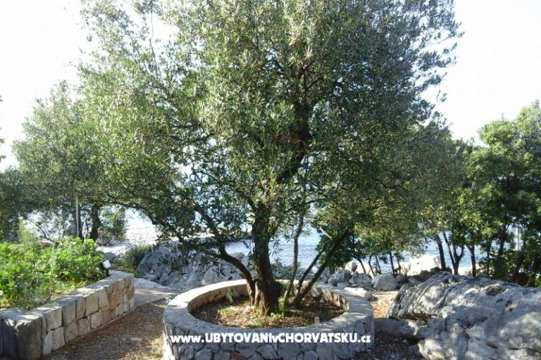 Apartman Smiljana – foto 2