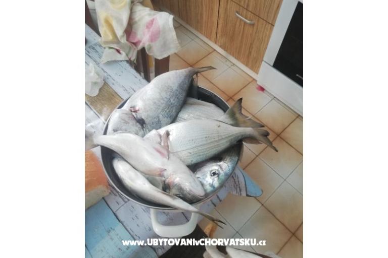 Apartmani Kabli1 – foto 18