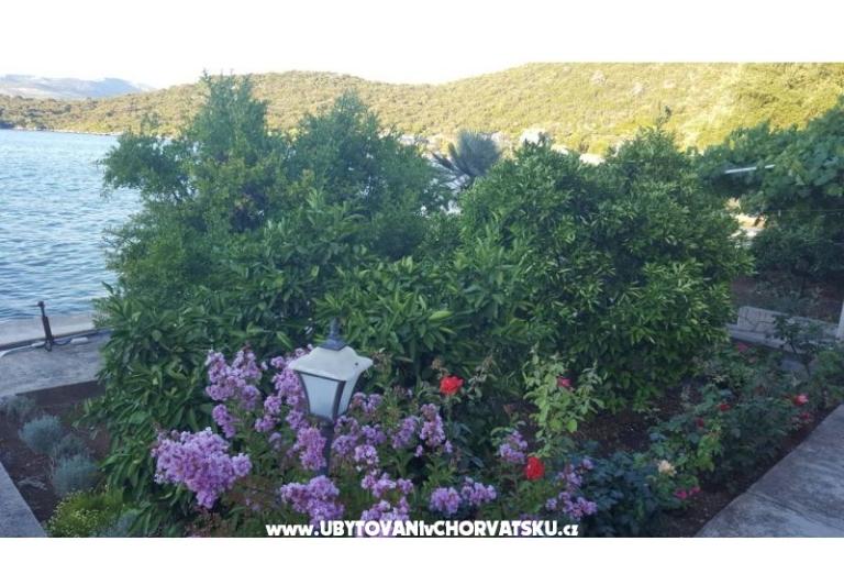 Apartmani Ruža – foto 9
