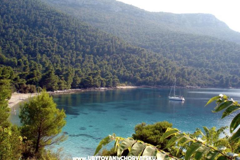 Apartmani Trstenik – foto 8