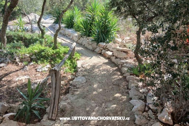 Apartmani Ivomir Malo more – foto 5