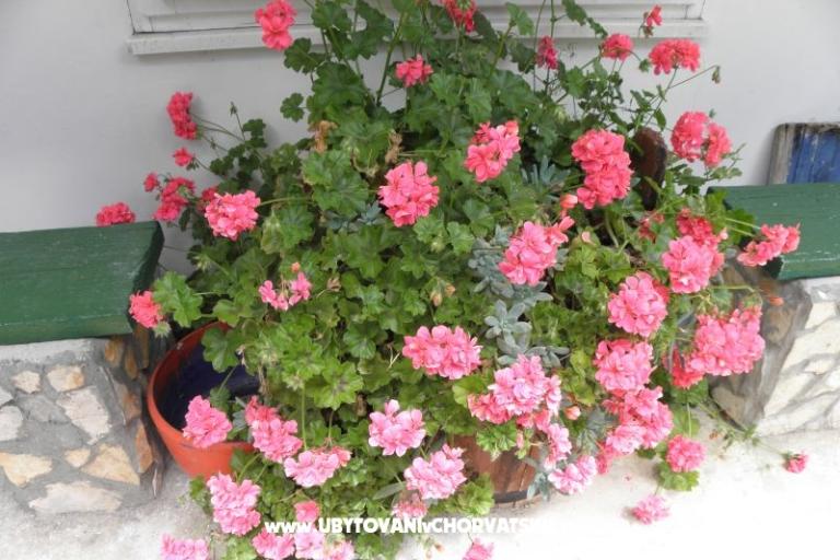 Apartmani Šime Pelješac – foto 14