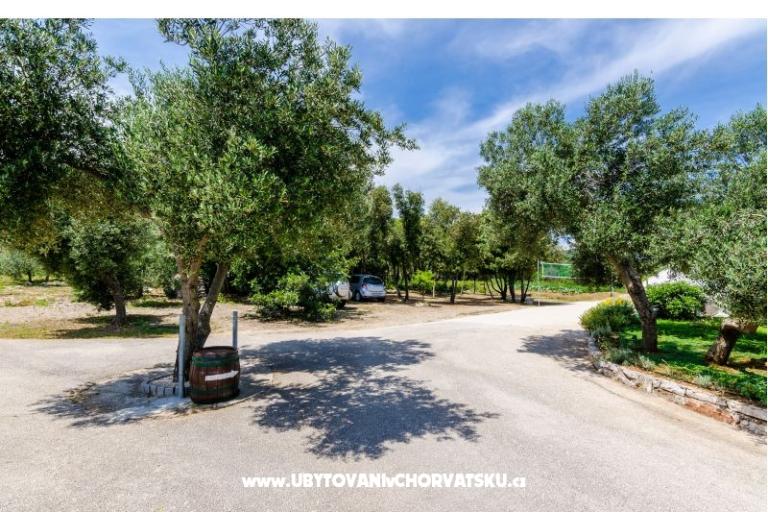 Apartmani Glavor – foto 13
