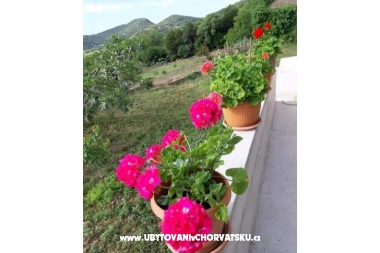 Gardenia Kuća – foto 11