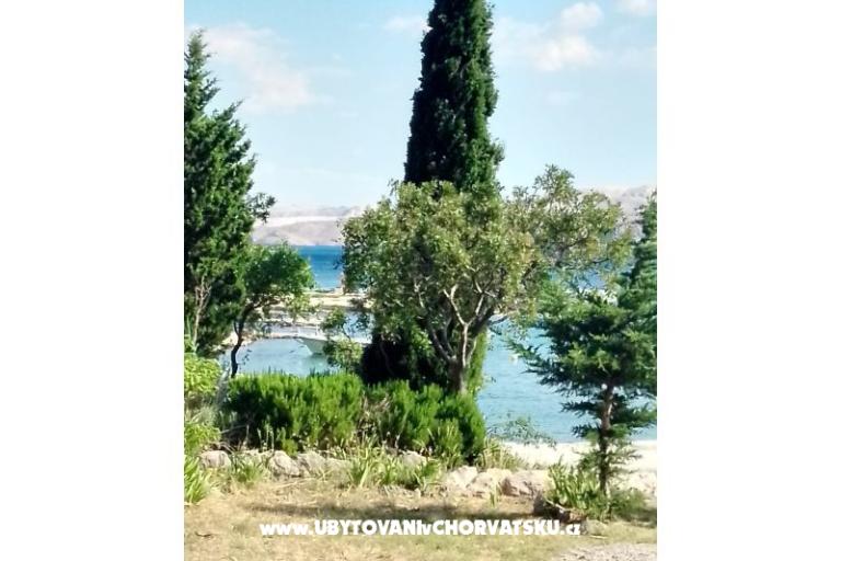 Apartmani Sofija – foto 14