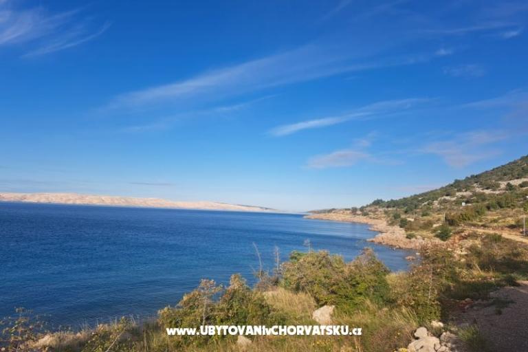 Apartmani Sofija – foto 9
