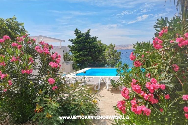 Apartmani Anita with Pool – foto 7