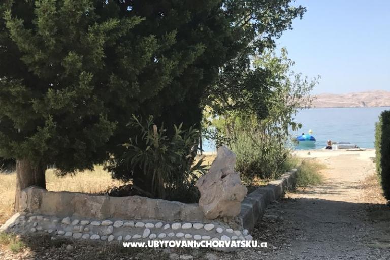 Apartmani Ribarica – foto 13