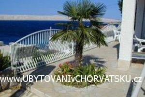 Apartmani Braja – foto 6