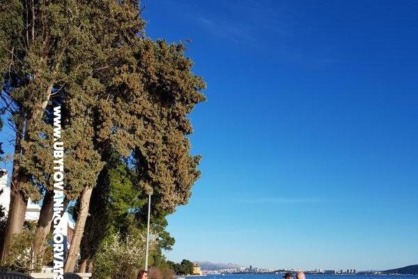 Apartmani Figaro – foto 19