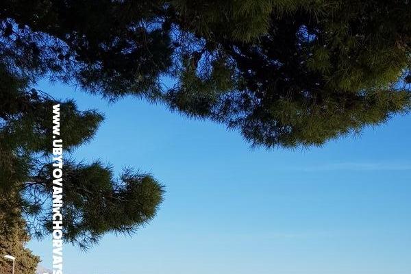 Apartmani Figaro – foto 21