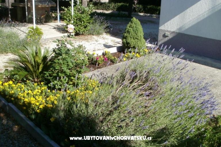 Apartmani Grgin – foto 5
