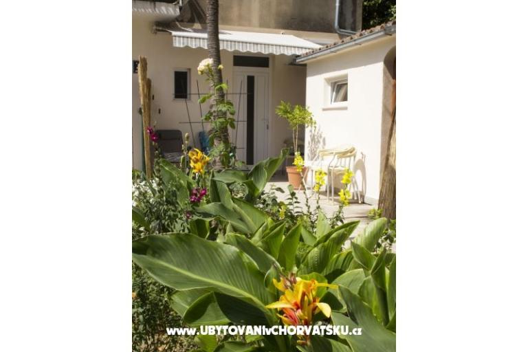 Apartmani Bugenvilla – foto 11