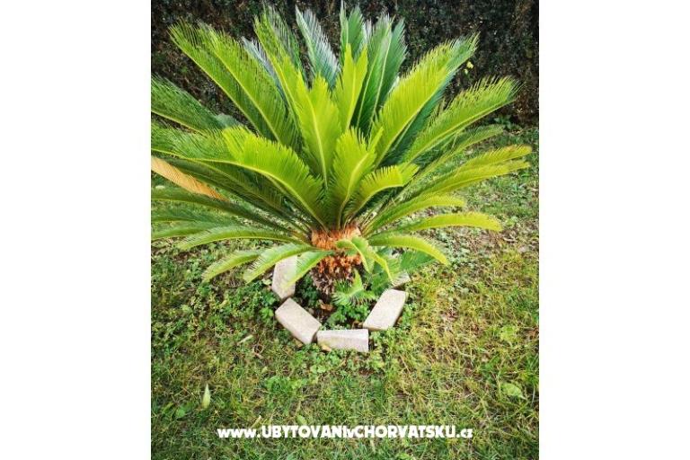 Apartmani Kuća Valentin – foto 33