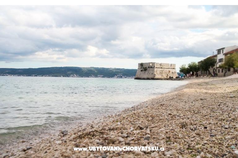 Ivan – foto 23