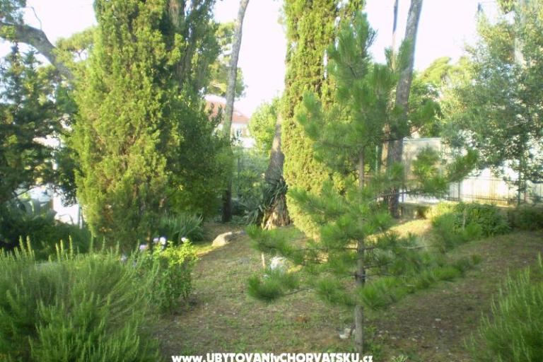 Apartmani Grgin – foto 11