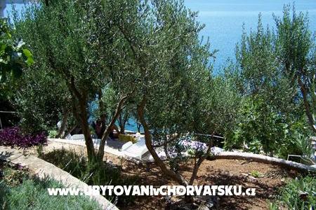 Apartmani Mediterraneo – foto 11