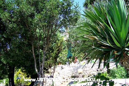 Apartmani Mediterraneo – foto 13