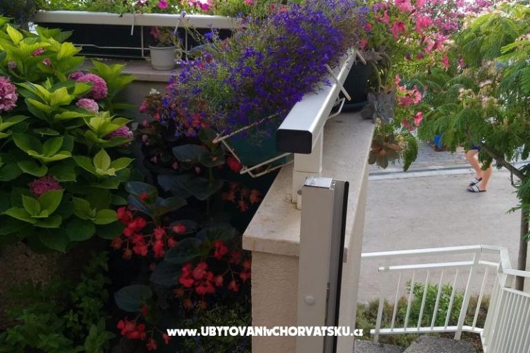 Apartmani Tea – foto 3