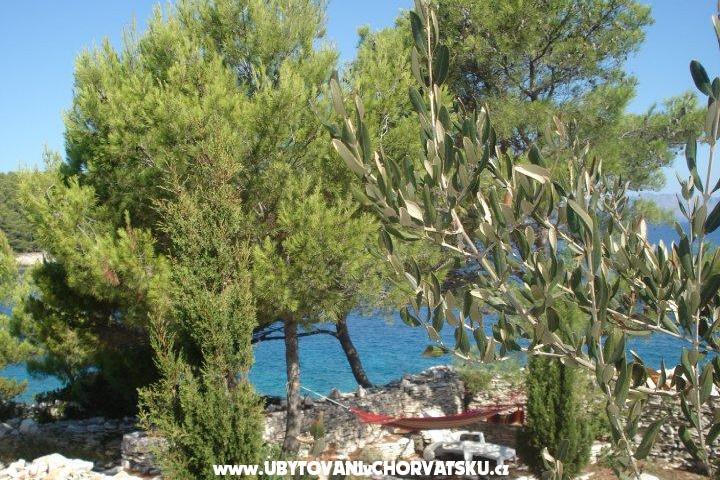 Apartman Kaurloto – foto 8