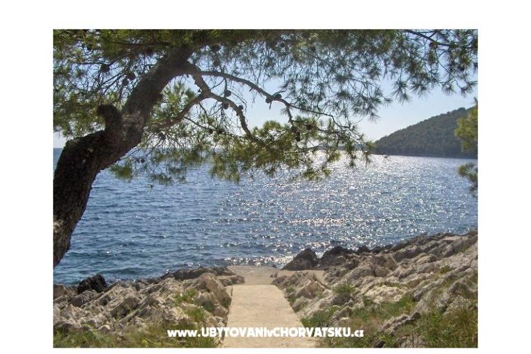 Apartmani Ančila – foto 14