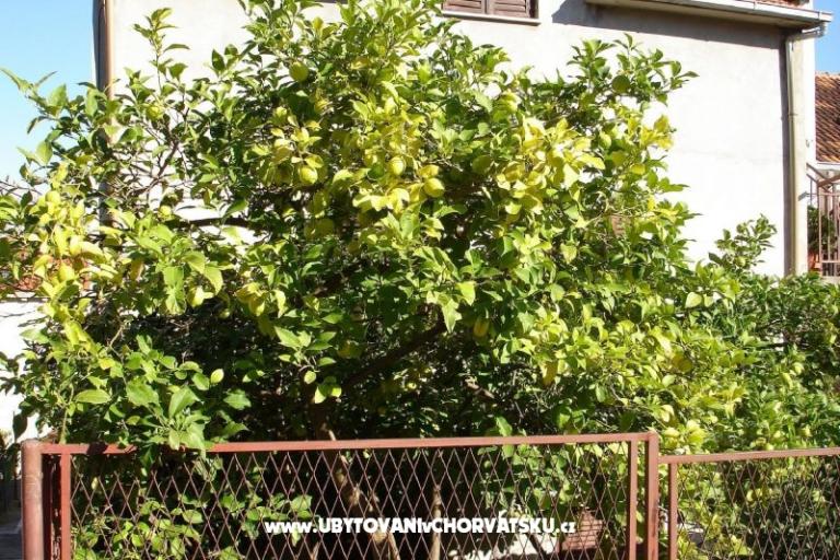 Apartmani Ankica – foto 4