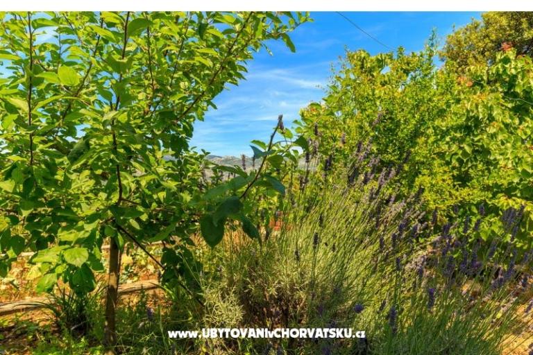 Apartmani Kastelan – foto 6