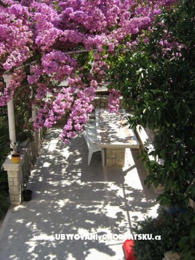 Apartmani Sarah – foto 6