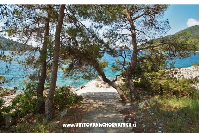 Apartmani Marica P. – foto 6