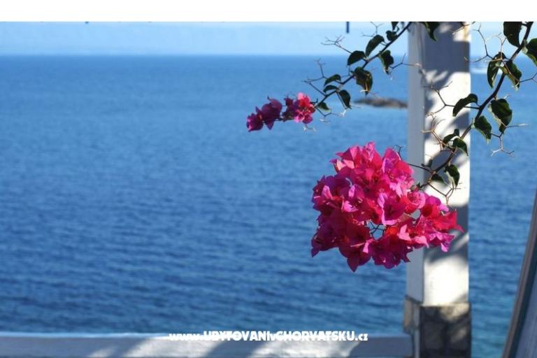 Kuća za odmor Dorjan – foto 6
