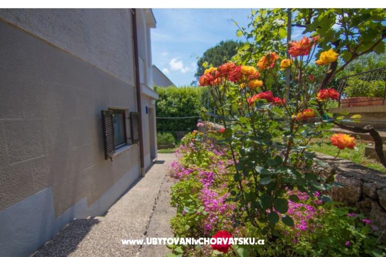 Apartman Neda – foto 12