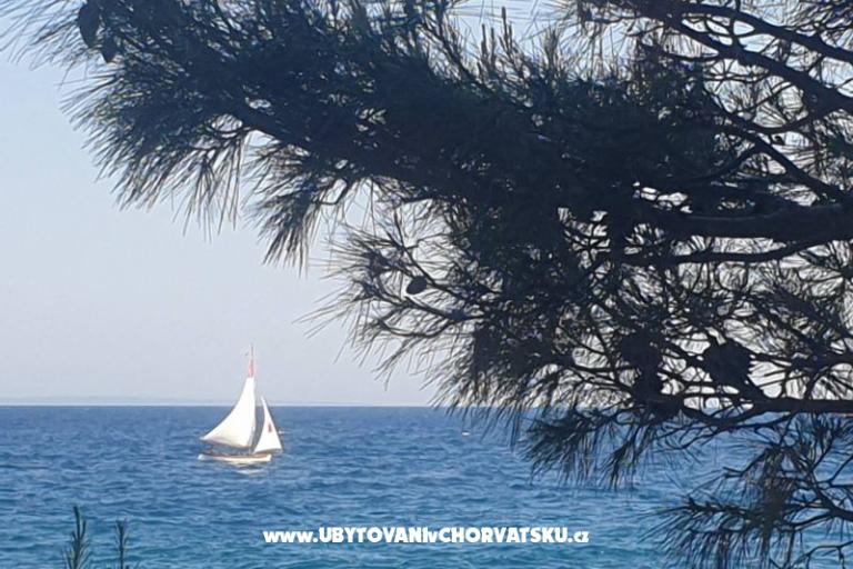 Apartmani Blažević – foto 19