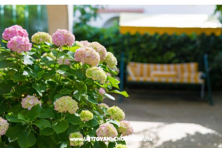 Apartmani Blažević – foto 8