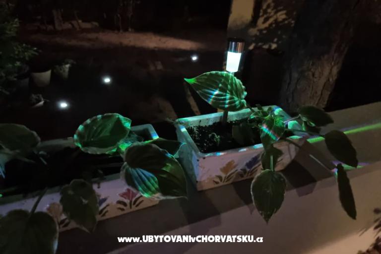 Apartmani Casia – foto 16