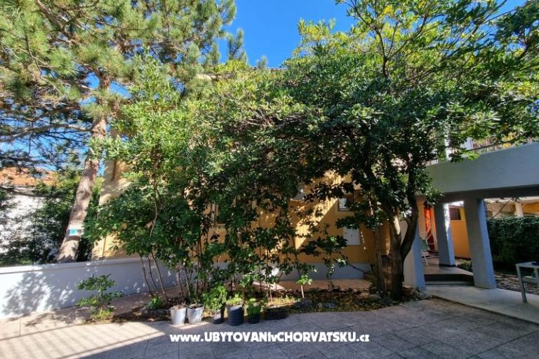 Apartmani Casia – foto 6