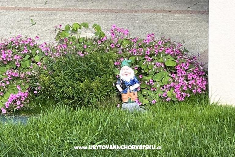 Apartmani Fanuko – foto 22