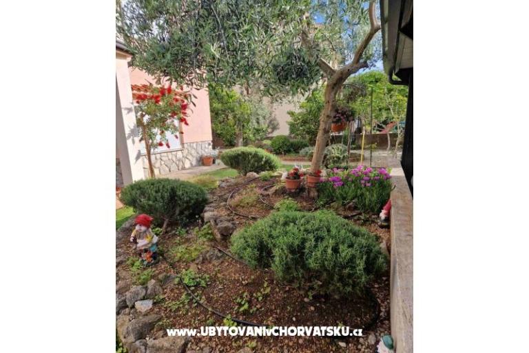 Apartmani Fanuko – foto 23