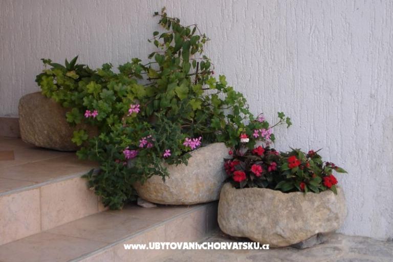 Apartmani Grzalja-Rozic Krk – foto 14