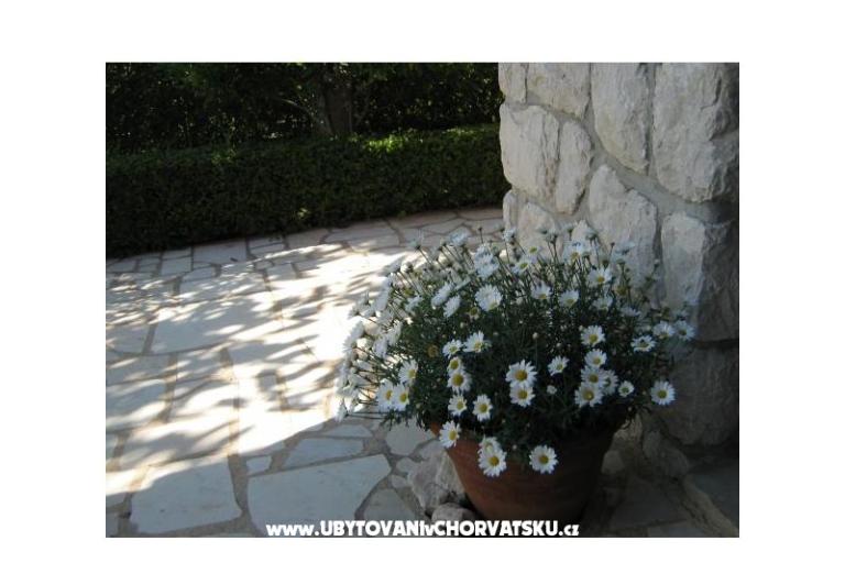 Apartmani Iva&amp;Ivan – foto 7