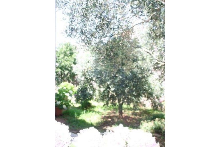 Apartmani Krk-Hydrangea – foto 10