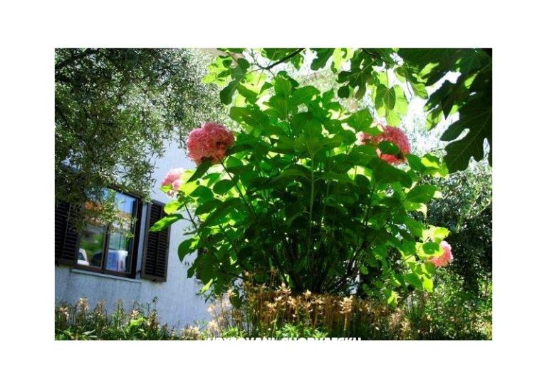 Apartmani Krk-Hydrangea – foto 13