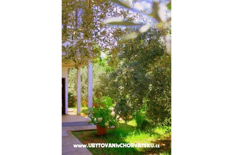 Apartmani Krk-Hydrangea – foto 14