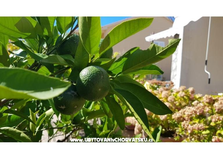 Apartmani Krk-Hydrangea – foto 6