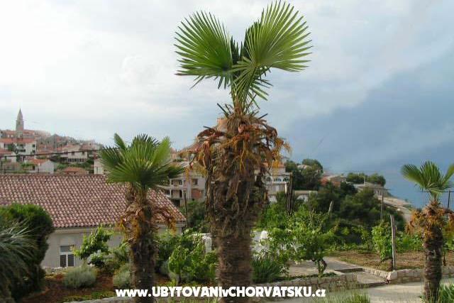 Apartmani Maja – foto 6